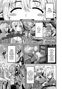 O Elfo Onee-Shota Autor